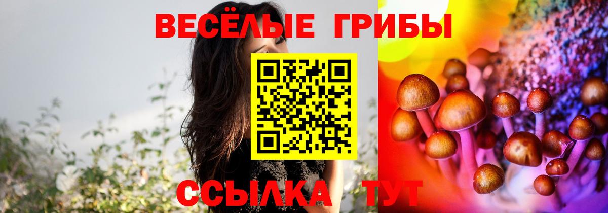 Галлюциногенные грибы прущие грибы  Вход с VPN  Сургут 